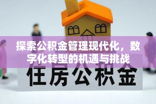 鄂托克旗探索公积金管理现代化，数字化转型的机遇与挑战