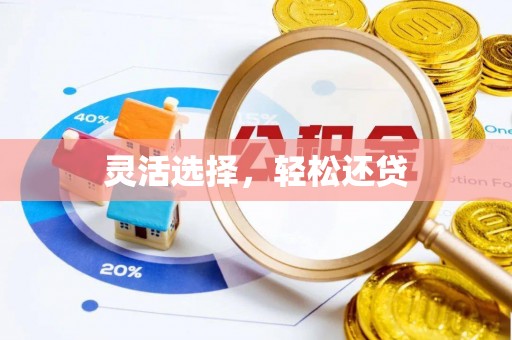 鄂托克旗灵活选择，轻松还贷