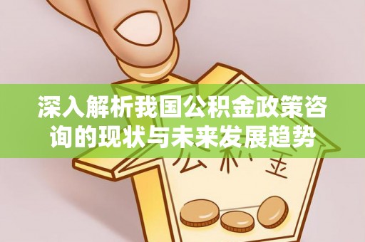 鄂托克旗深入解析我国公积金政策咨询的现状与未来发展趋势