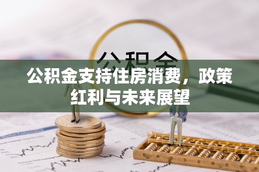 鄂托克旗公积金支持住房消费，政策红利与未来展望